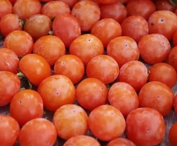 Brush Spray Fruit Brush Washing Machines Persimmon Brush Washing Machine