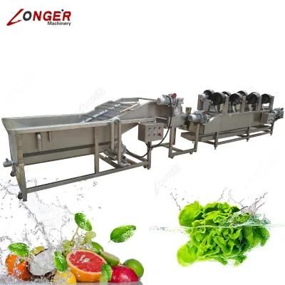 Industrial Blueberry Cleaning Machine Fruit and Vegetable Washing Line