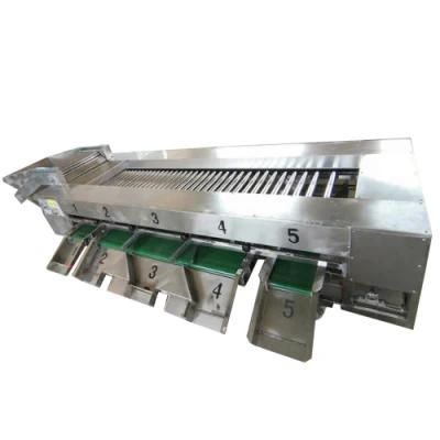 Chinese Suppliers Vegetable and Fruit Size Sorting Machine