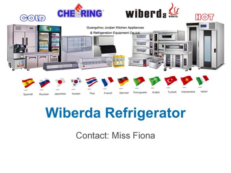 Refrigerated Proofing Machine Stainless Steel Single Door Commercial Bakery Proofer Machine