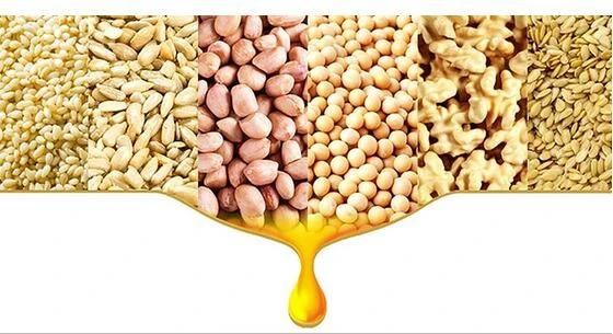 Crude Oil Refinery Edible Oil Manufacturers Oil Pressing Machine