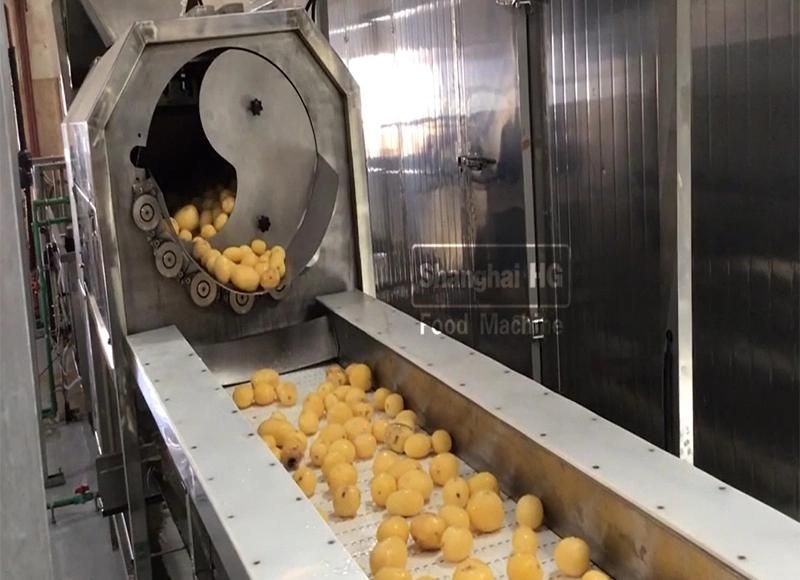 Automatic Frozen French Fries Production Line Potato Chips Fryer Making Frying Snack Food Machine