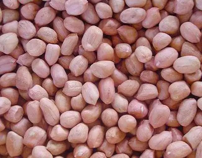 Conveyor Frying Machine Peanut Autolift Continuous Fryer