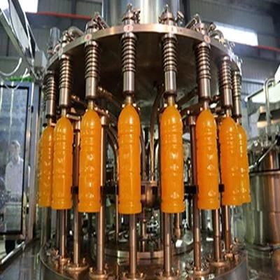 Jackfruit Fresh Juice Full Automatic Production Line