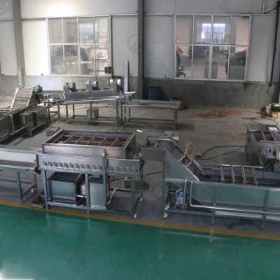 Onion Apple Vegetable Fruit Washing Cutting Drying Line for Factory