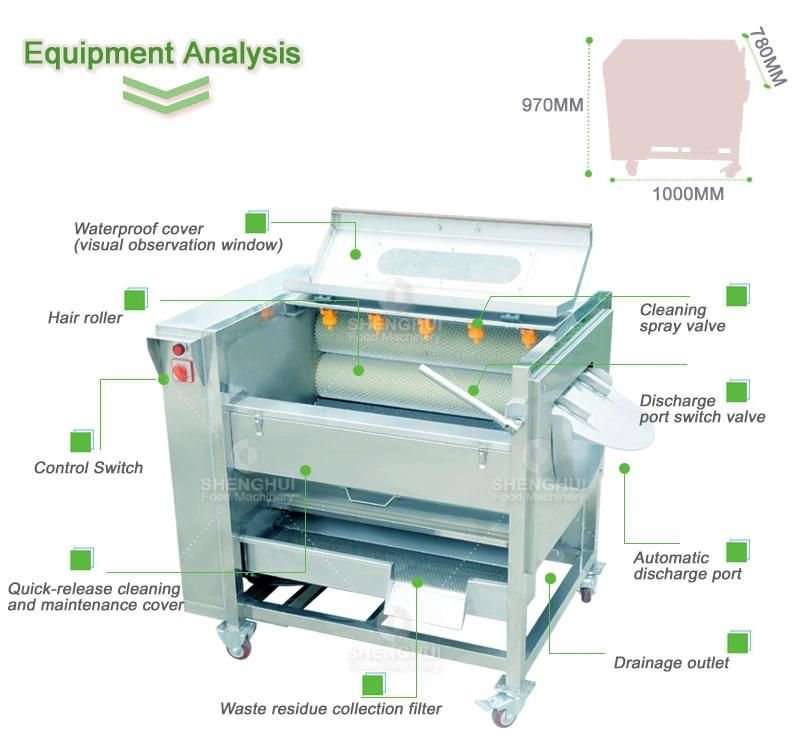 Automatic Brush Ginger Peeling Machine
