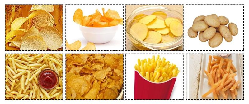 Hot Selling Stainless Steel Potato Chips Fryer Machine Continuous Belt Fryer Machinery Plant with Lower Price