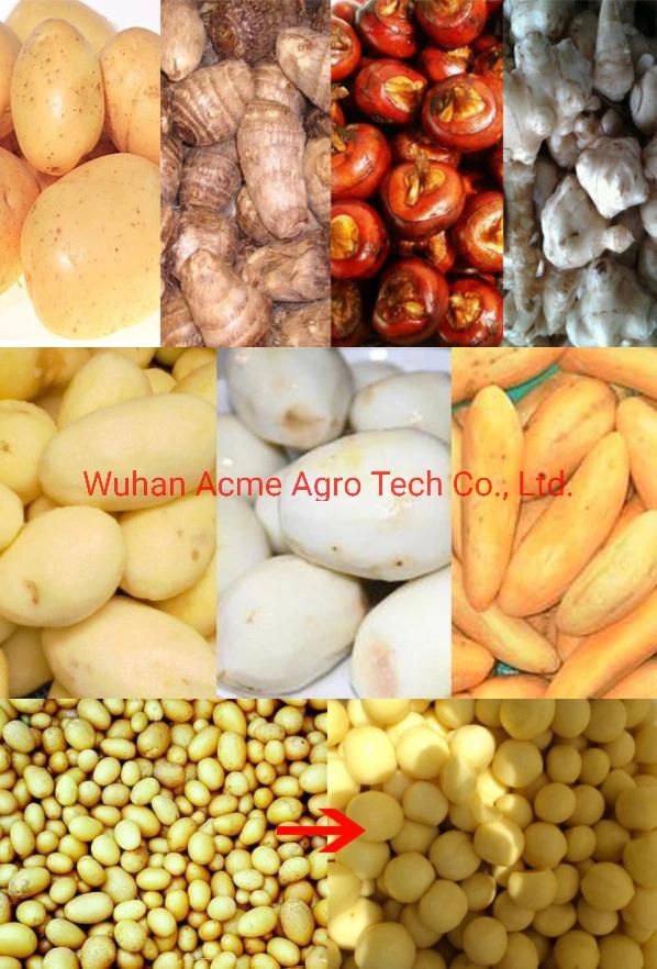 Commercial Ginger Peeler and Washer Machine