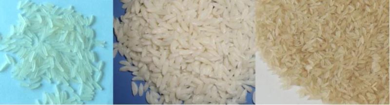 Top Quality Industrial Fortified Rice Making Machine Extrued Artificial Rice Production Line