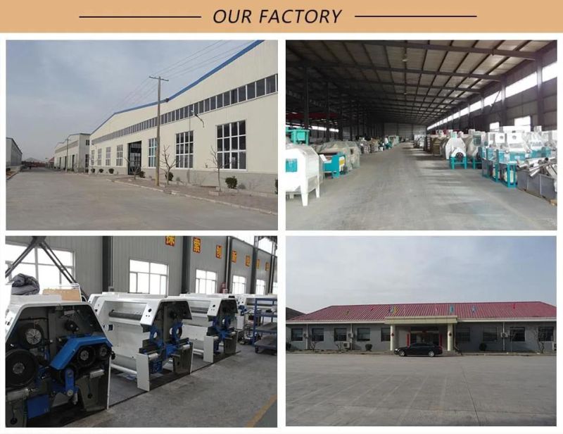 China Factory 50t Maize Processing Machine for Maize Flour