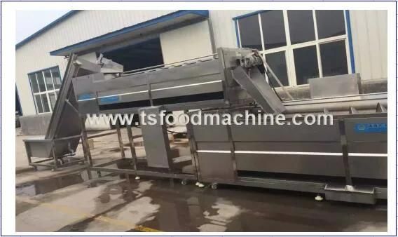 Jicama Skin Peeling Machine and Jicama Washing Machine