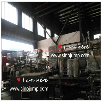 Banana Puree Production Line /Banana Pulp Processing Line
