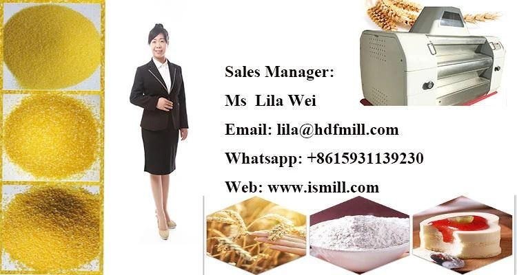 Transport to Tanzania 30t/D Corn Flour Mill Milling Machine