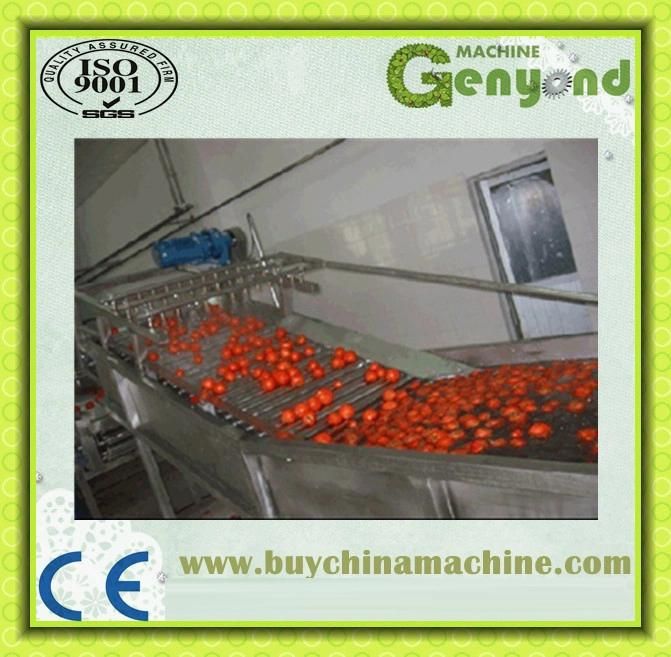 Shanghai Automatic Washing Machine for Vegetable Processing