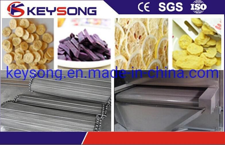 Professional Manufacturer Continuous Conveyor Mesh Belt Dryer