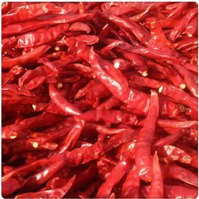 Ginger Chilli Pepper Tomato Fruits Vegetables Plant Drying Machine