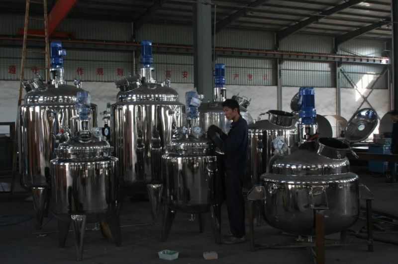 Sanitary Stainless Fermentor for Biological Fermentation