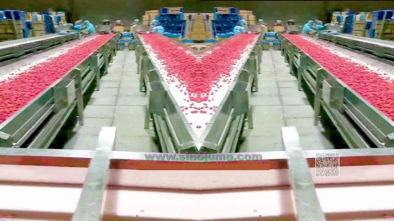 a Raspberry Puree/Paste Processing Turnkey Solution