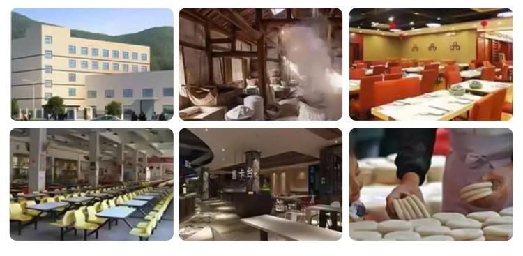 Professional Stainless Steel Industrial Meat Slicer Vertical Meat Cutting Machine