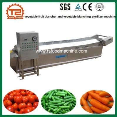 Vegetable and Fruit Blancher and Vegetable Blanching Sterilizer Machine