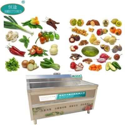 Bubble Ozone Fruit and Vegetable Cleaning Machine Commercial Vegetable Washer