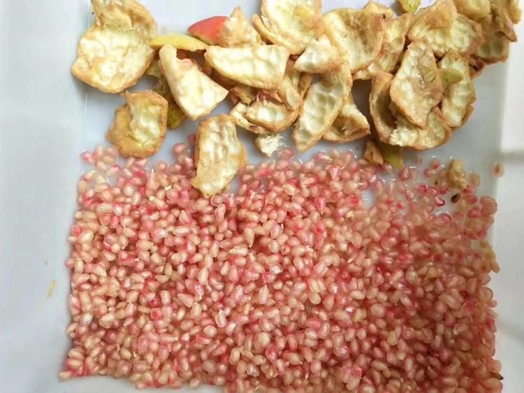 High Efficiency Pomegarante Processing Equipment