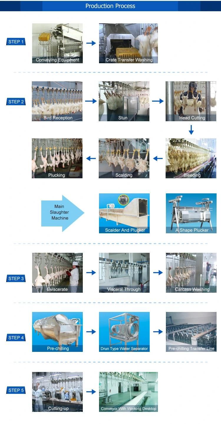 Chicken Feather Processing Equipment Slaughterhouse Machine Abattoir Machinery