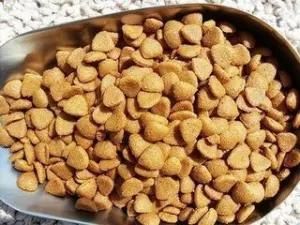 Fully Automatic Dry Pet Food Machine/Processing Line/Production Line/Machine
