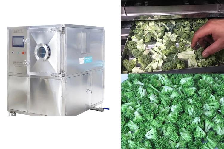 Vacuum Freeze Dryer Lyophilizer Machine Dried Broccoli Freeze Dehydrator