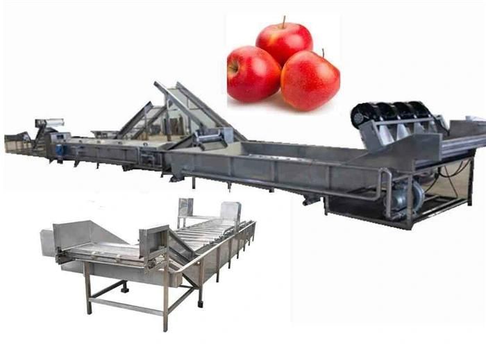 Competitive Price Vegetable Fruit Air Bubble Washing Production Machine