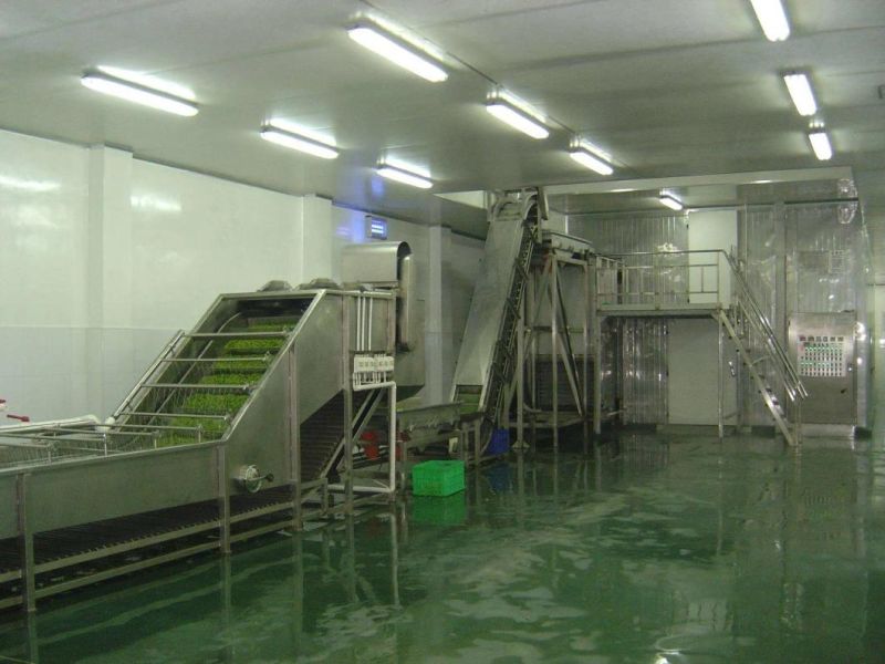 IQF Spiral Freezer for Shrimp and Fish Fillet