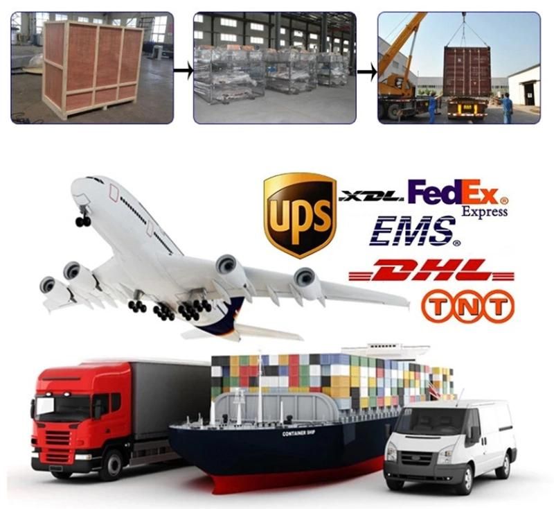 Factory Price Food/Fruit Processing and Sorting Machine