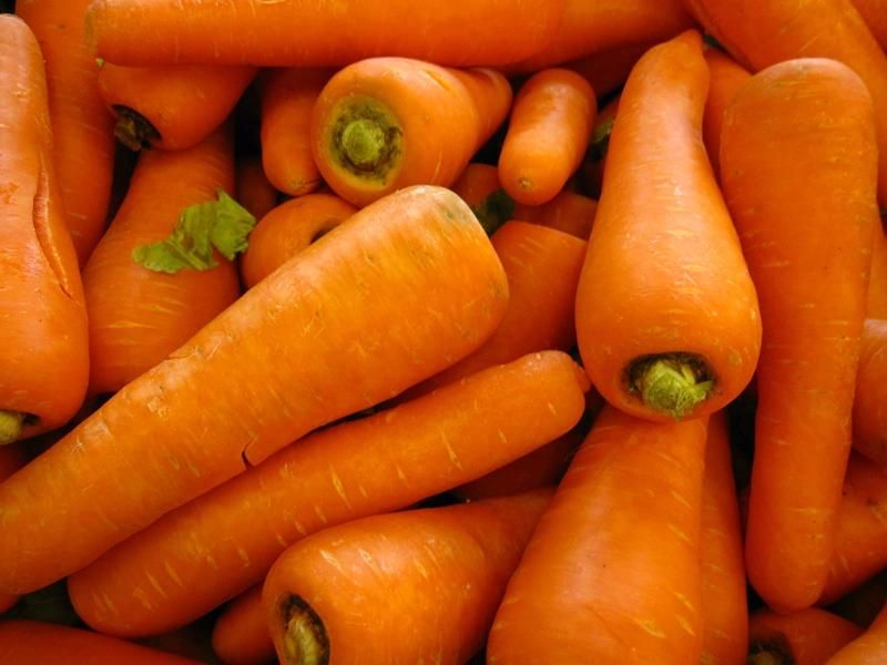Vegetable Washer Machines Carrot Brush Washing Machine