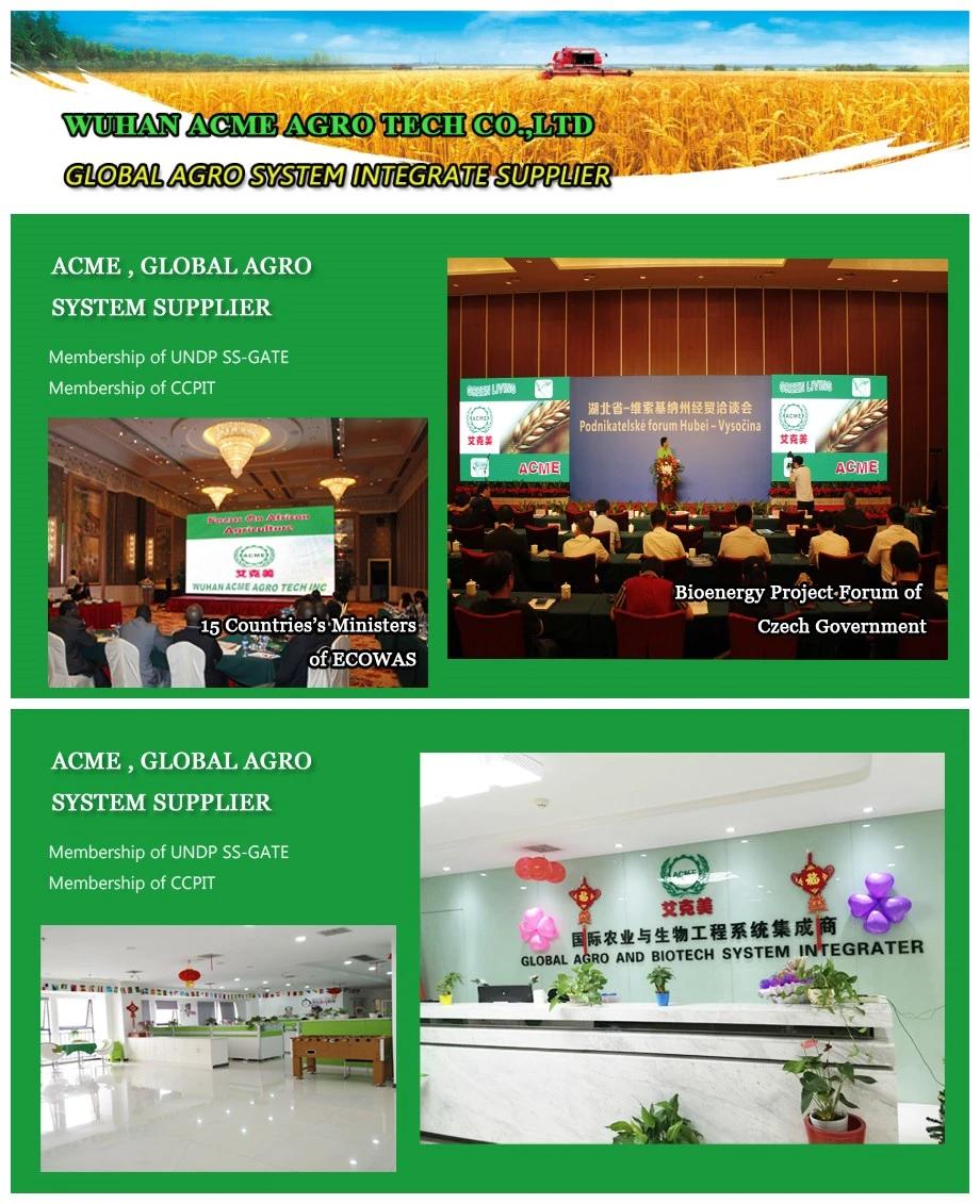 Flour Mill Cassava Milling Machine Flour Grinding Machine