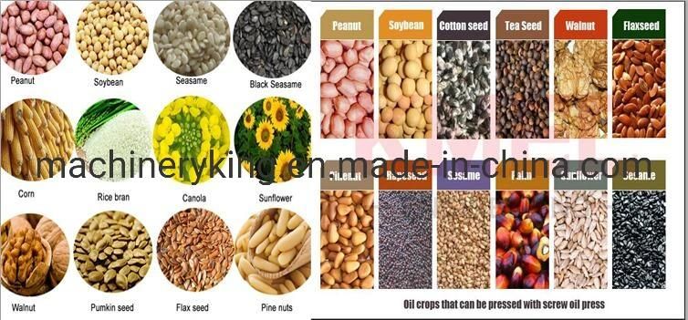 Sesame Peanut Coconut Soybean Olive Small Auto Oil Press Machine