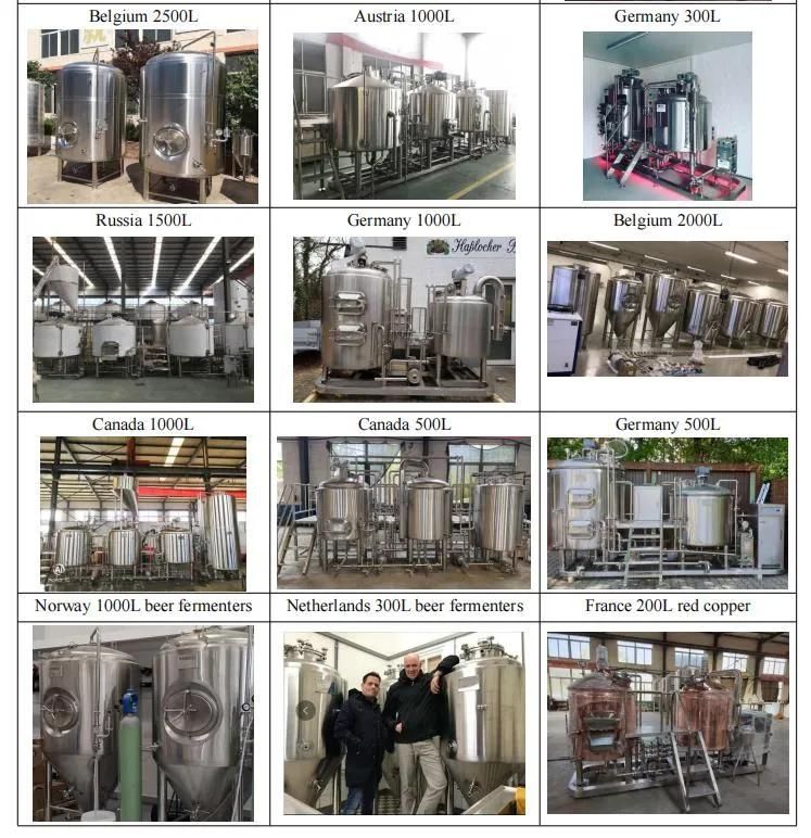 Price of 500L Beer Brewery for Beer Brewing Plant Supplies Near Me for Sale