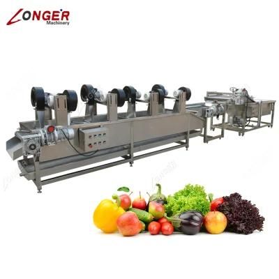 Stainless Steel Automatic Fruit and Vegetable Cleaning Machine