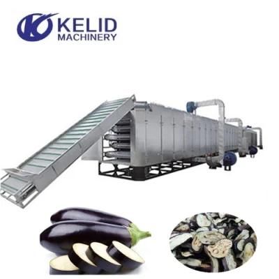 Industrial Tunnel Belt Hot Air Circulation Ginger Eggplant Drying Machine