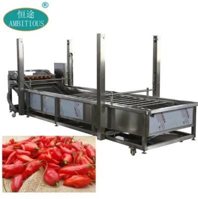 Vegetable Washer Naga King Chilli Washing Machine