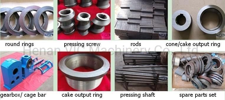 Oil Press with Vacuum Filter and Screw Feeder