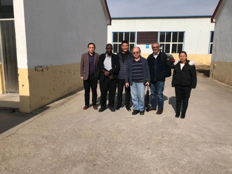 Good Quality Tomato Processing Plant Washer Drying Equipment Tomato Washing Machine