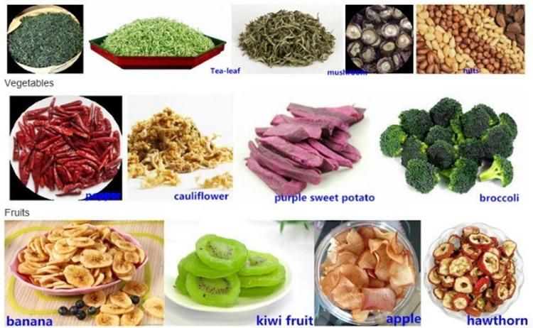 High Quality Dehydrated Vegetable Processing Dried Fruit Production Line