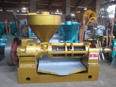 Guangxin 10tpd Peanut Oil Press Machine with Biggest Gearbox