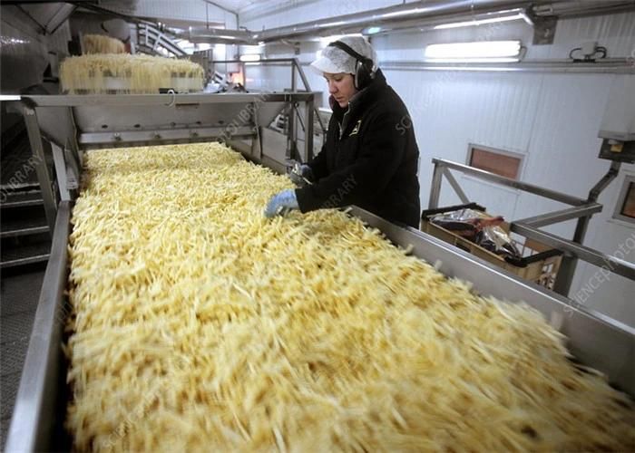 High Capacity Frozen Potato Chips Making Machine