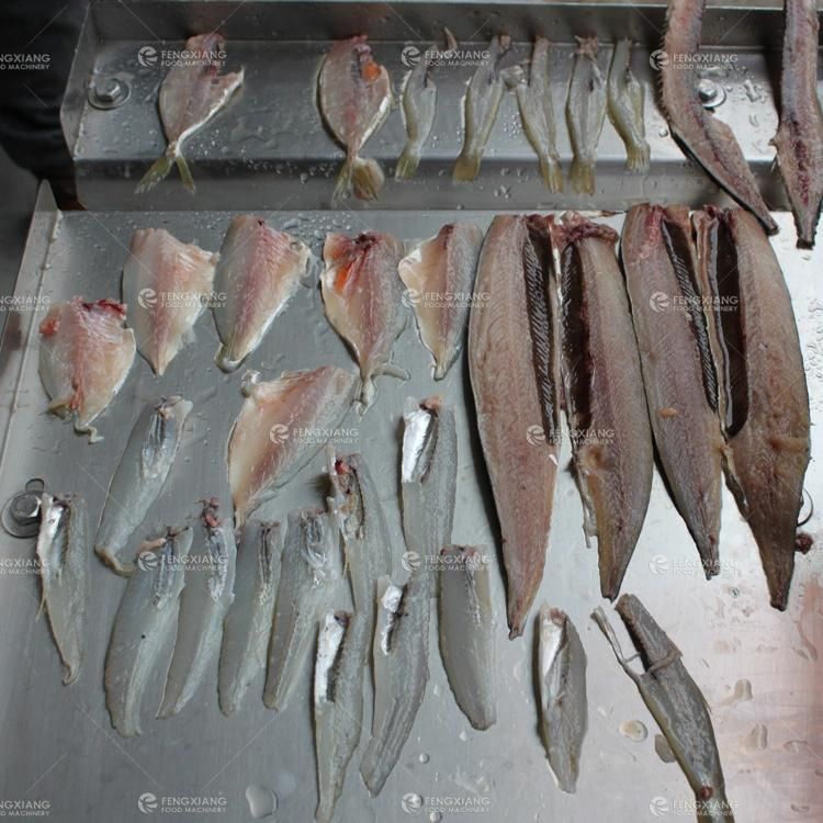 Fish Cutting Machine, Fish Fillet Machine, Fish Filleting