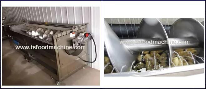 Jicama Skin Peeling Machine and Jicama Washing Machine