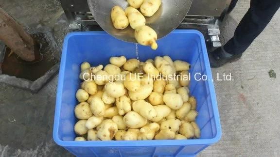 China Factory Low Price of Potato Washing & Peeling Machine
