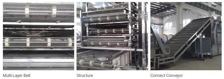Automatic Customized Fruit Vegetable Ginger Garlic Onion Slice Drying Line