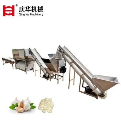 The Factory Supplies 500kg/H Chain Type Garlic Peeling Machine