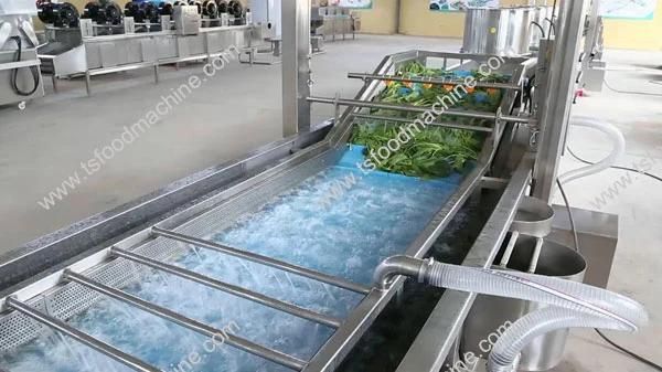 Vegetable Washing Machinery 1000kg Tomato Washing and Drying Machine